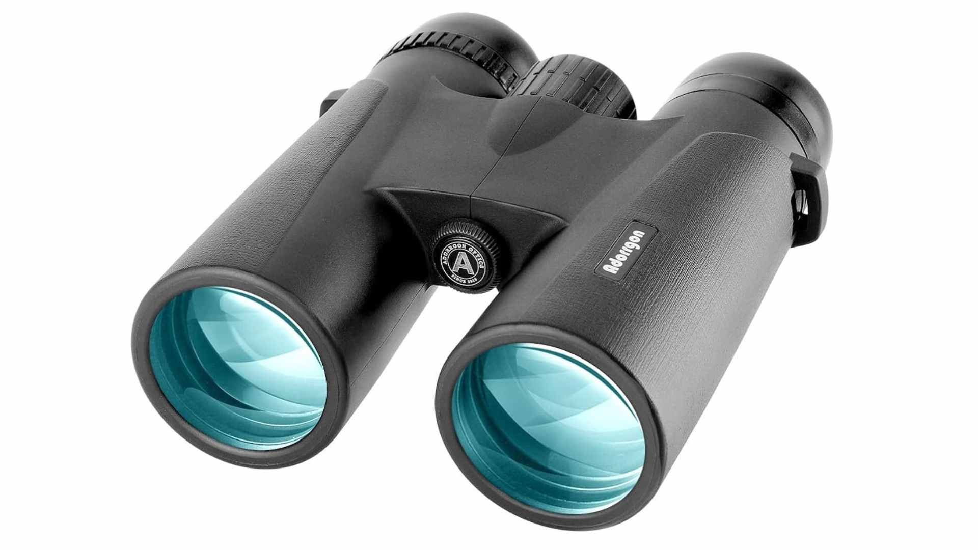 Best Binoculars for Whale Watching
