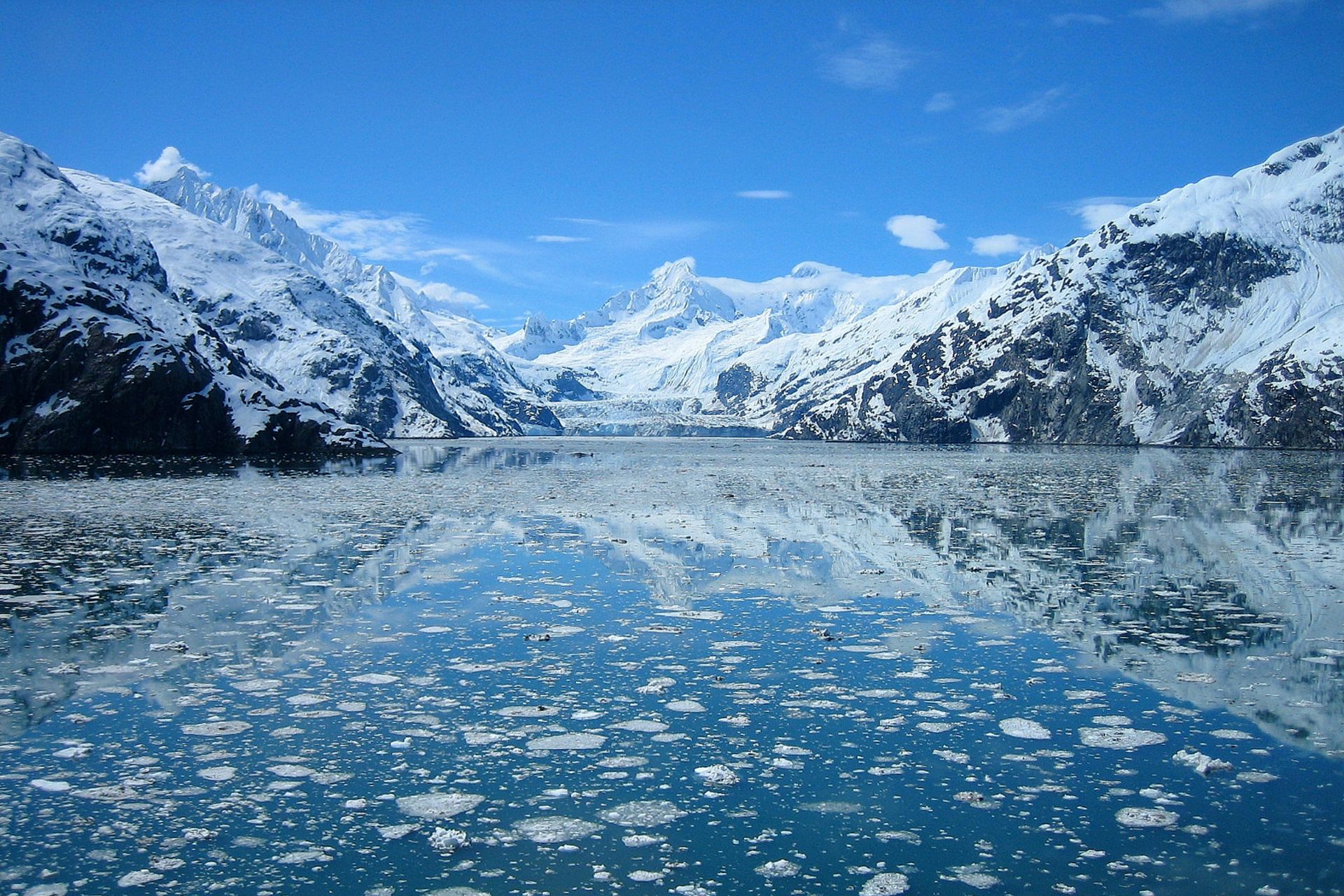 whale watching Alaska