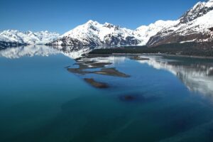 whale watching in alaska