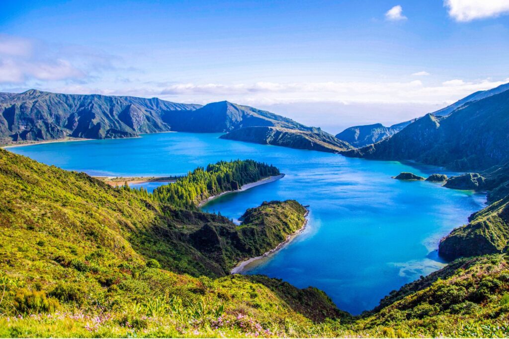 whale watching azores