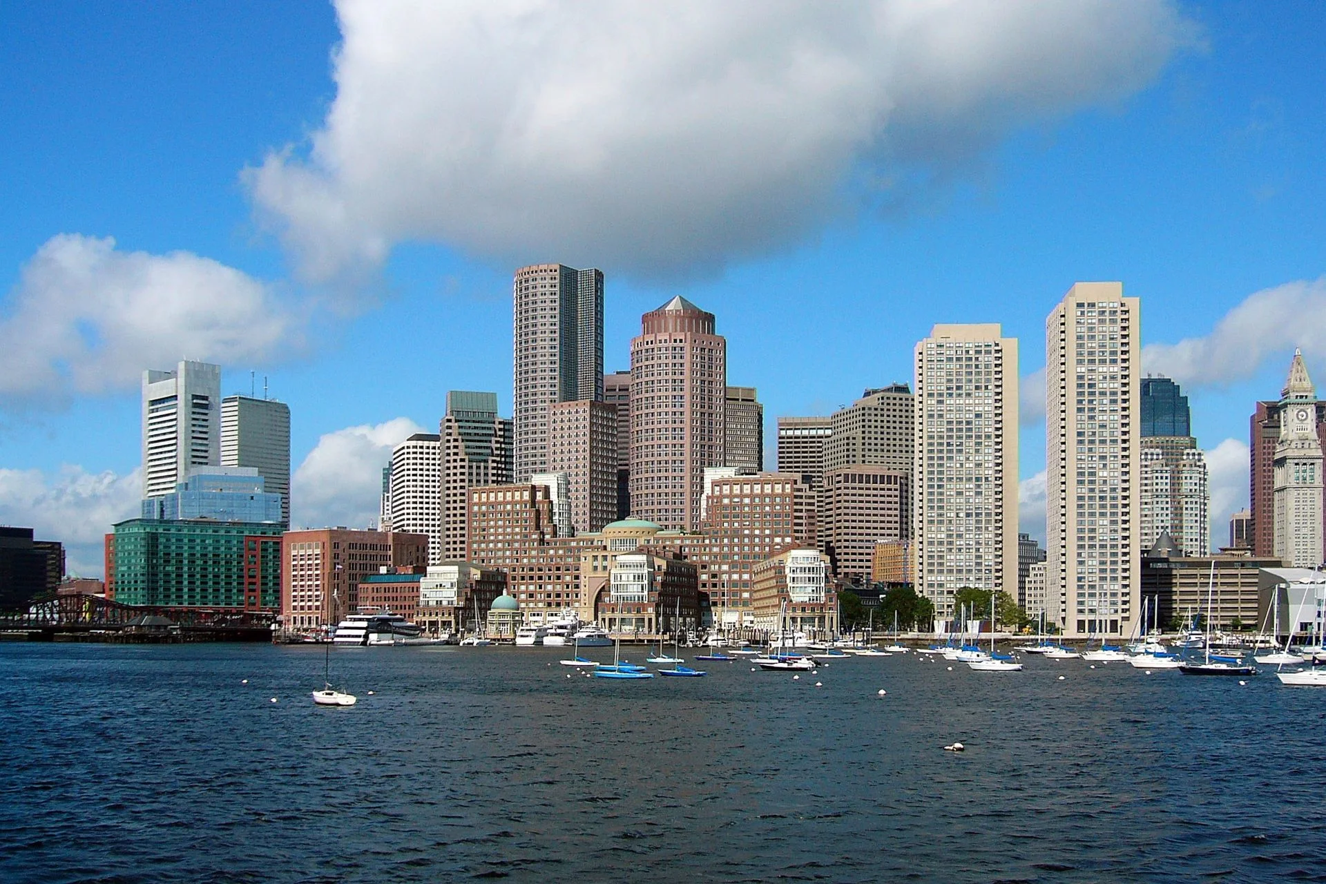 whale watching boston