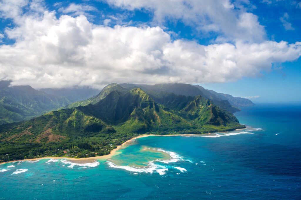 whale watchung hawaii