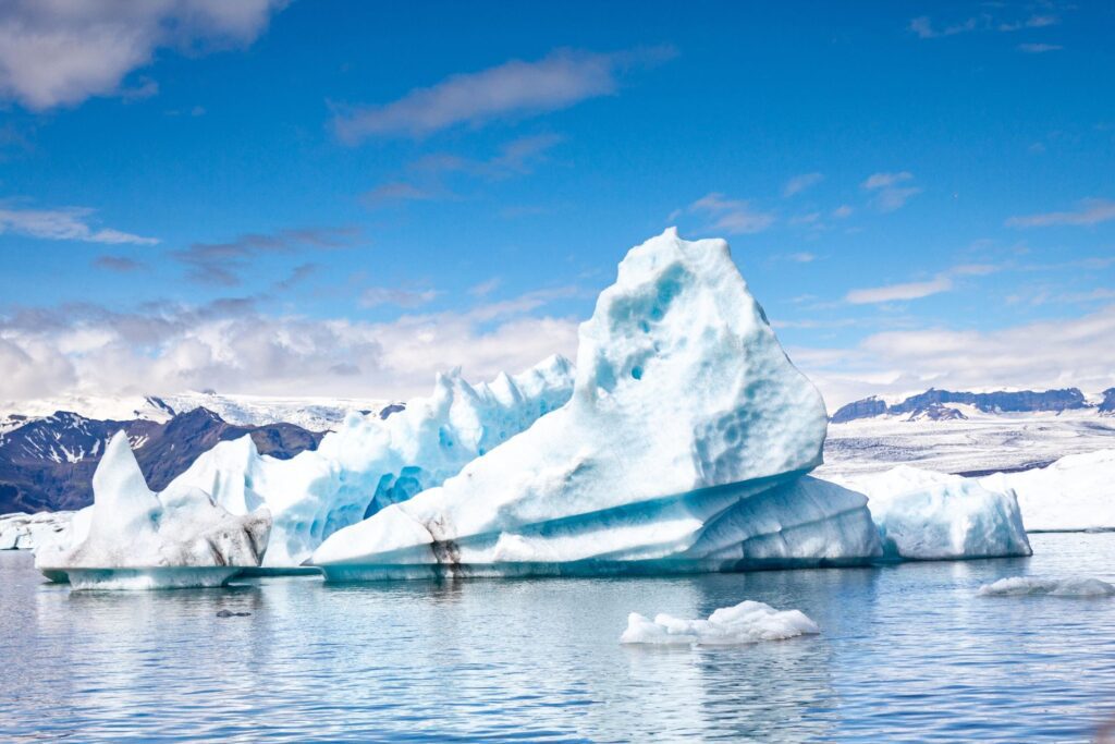 whale watching Iceland