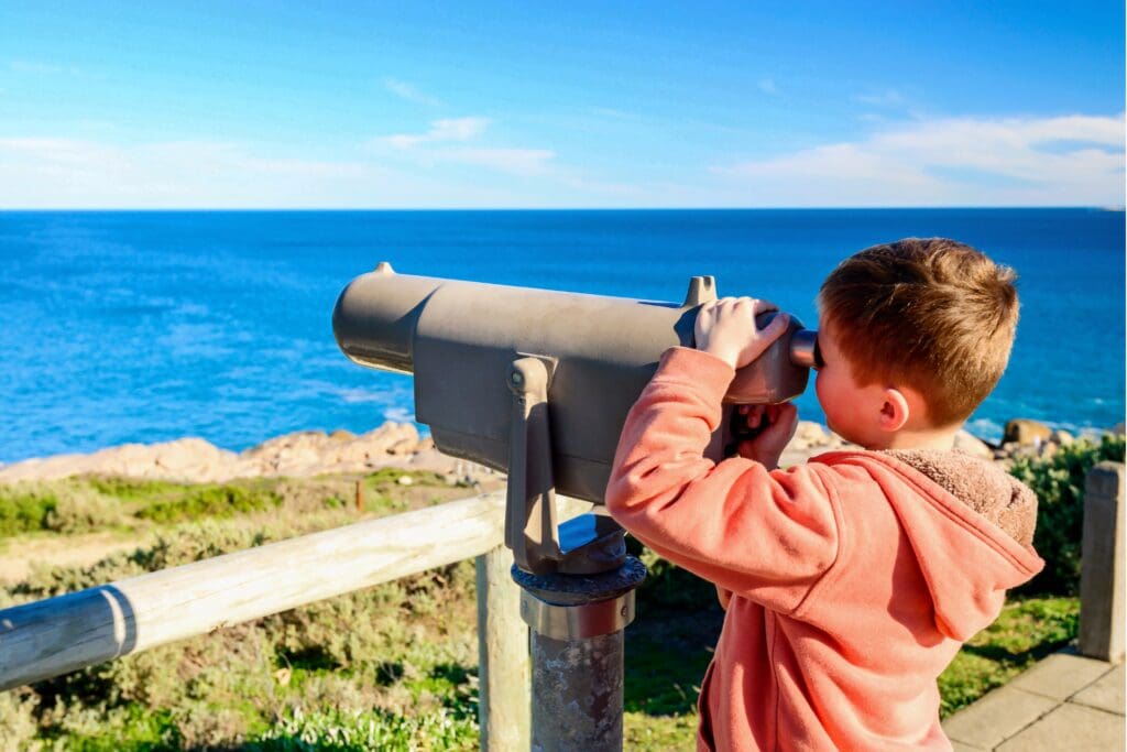 whale watching with kids