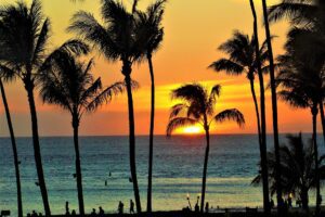 Maui whale watching