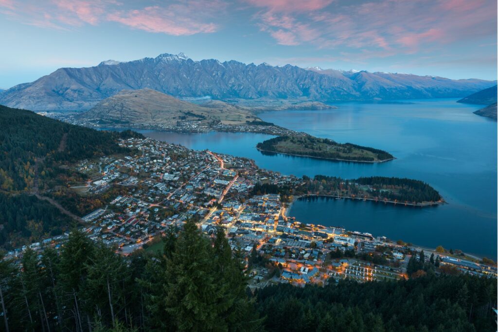 whale watching New Zeland