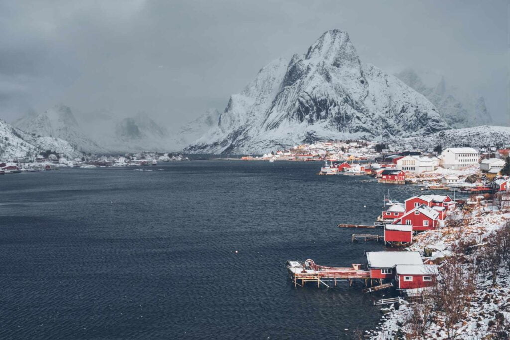 whale watching norway