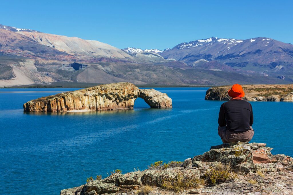 whale watching patagonia