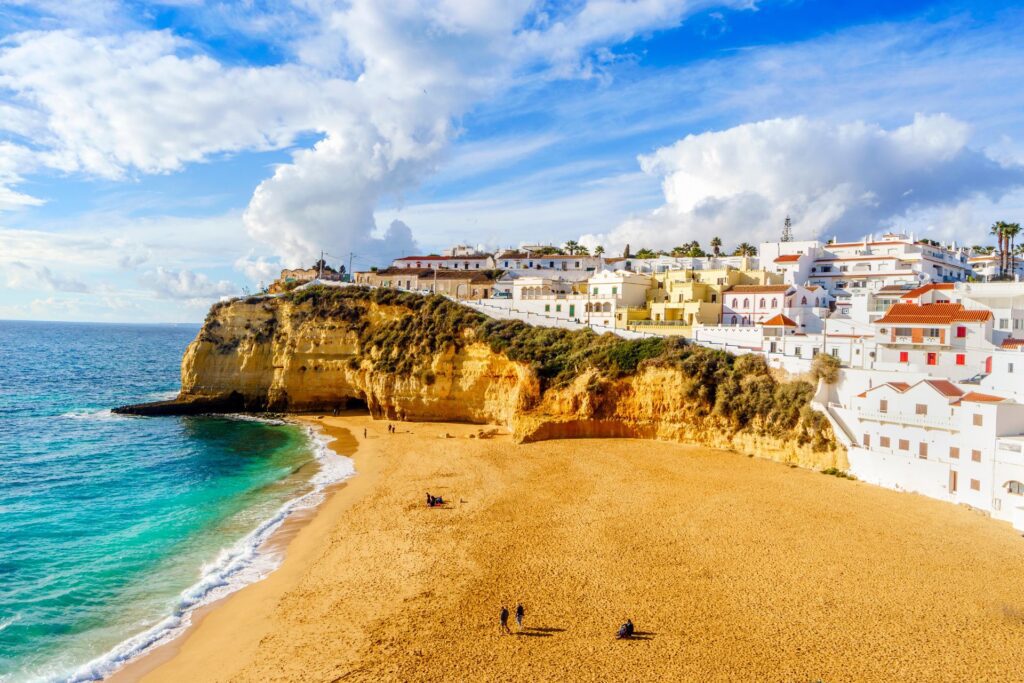 whale watching Portugal