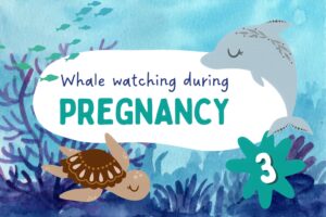 whale watching during pregnancy