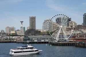 Whale Watching in Seattle: A Comprehensive Guide for Enthusiasts