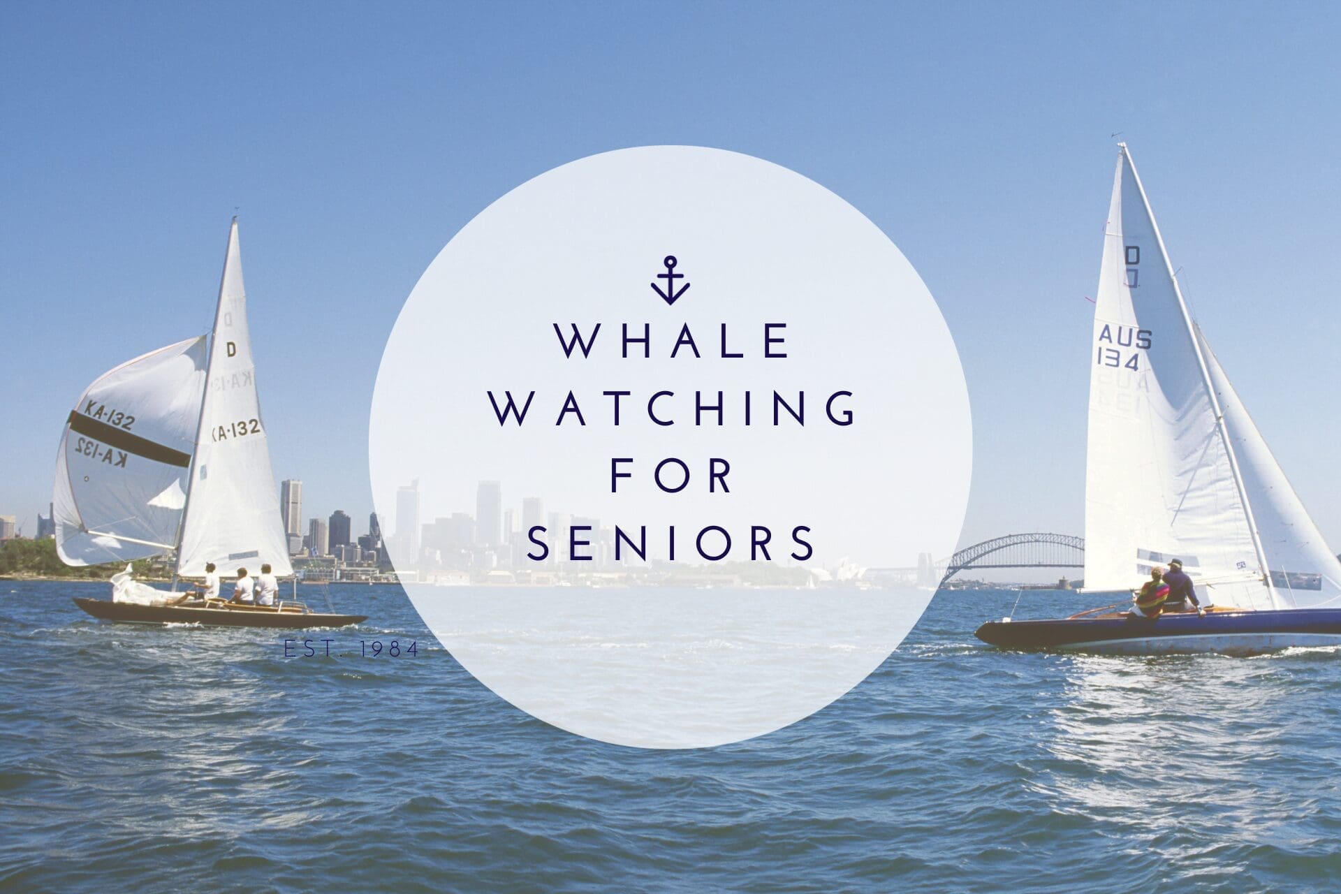 Whale Watching for Seniors