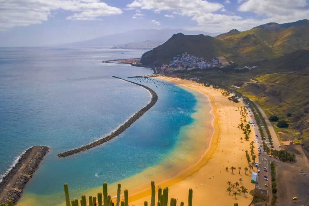 whale watching Tenerife