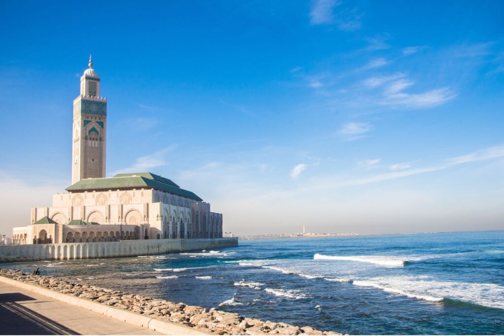 whale watching Morocco