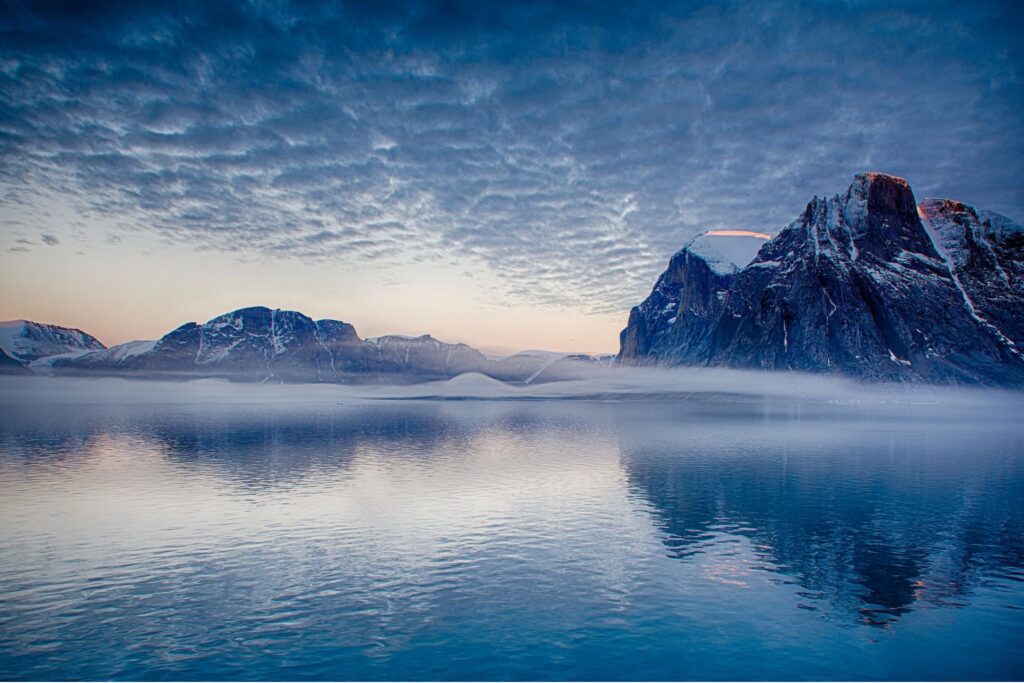 whale watching Greenland