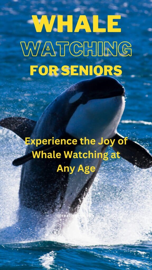 Whale Watching for Seniors