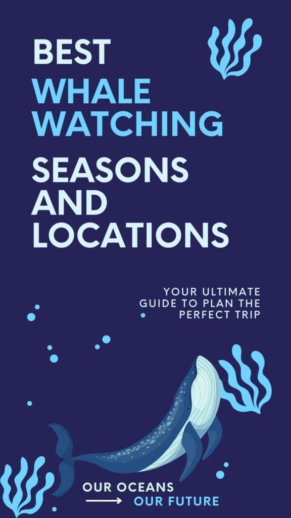 best whale watching seasons