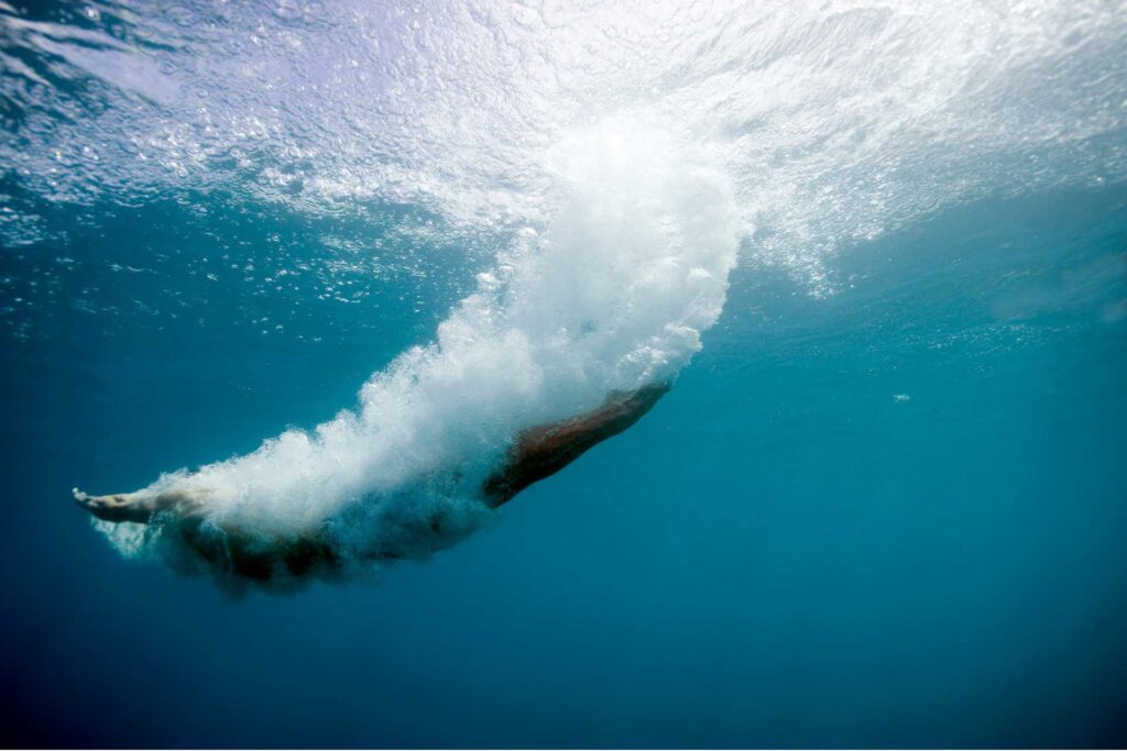 swimming with whales