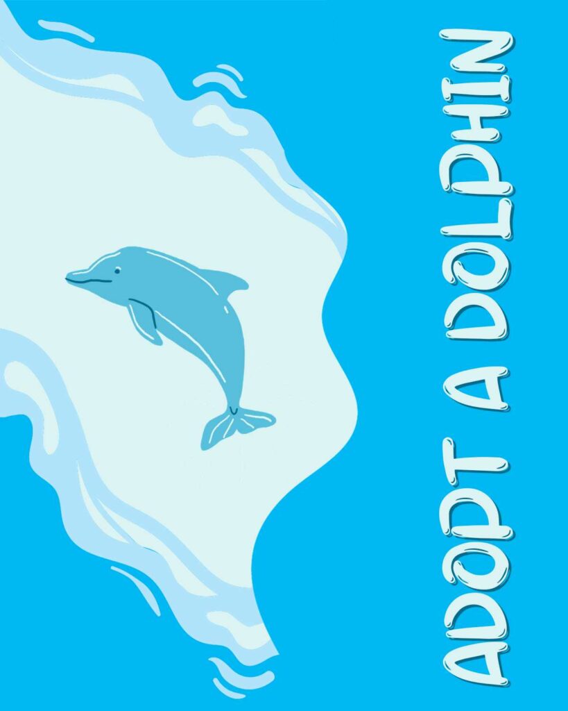 adopt a dolphin