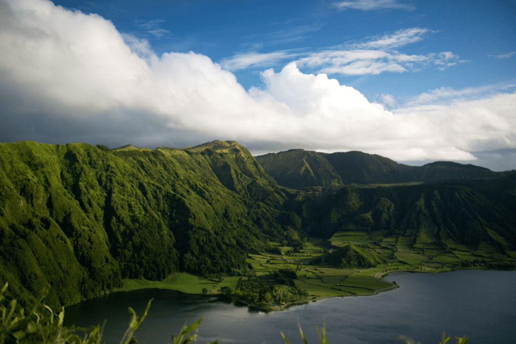 Whale watching Azores