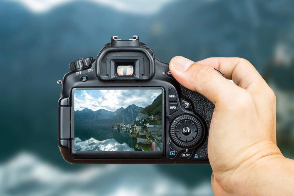 Best Camera for Whale Photography