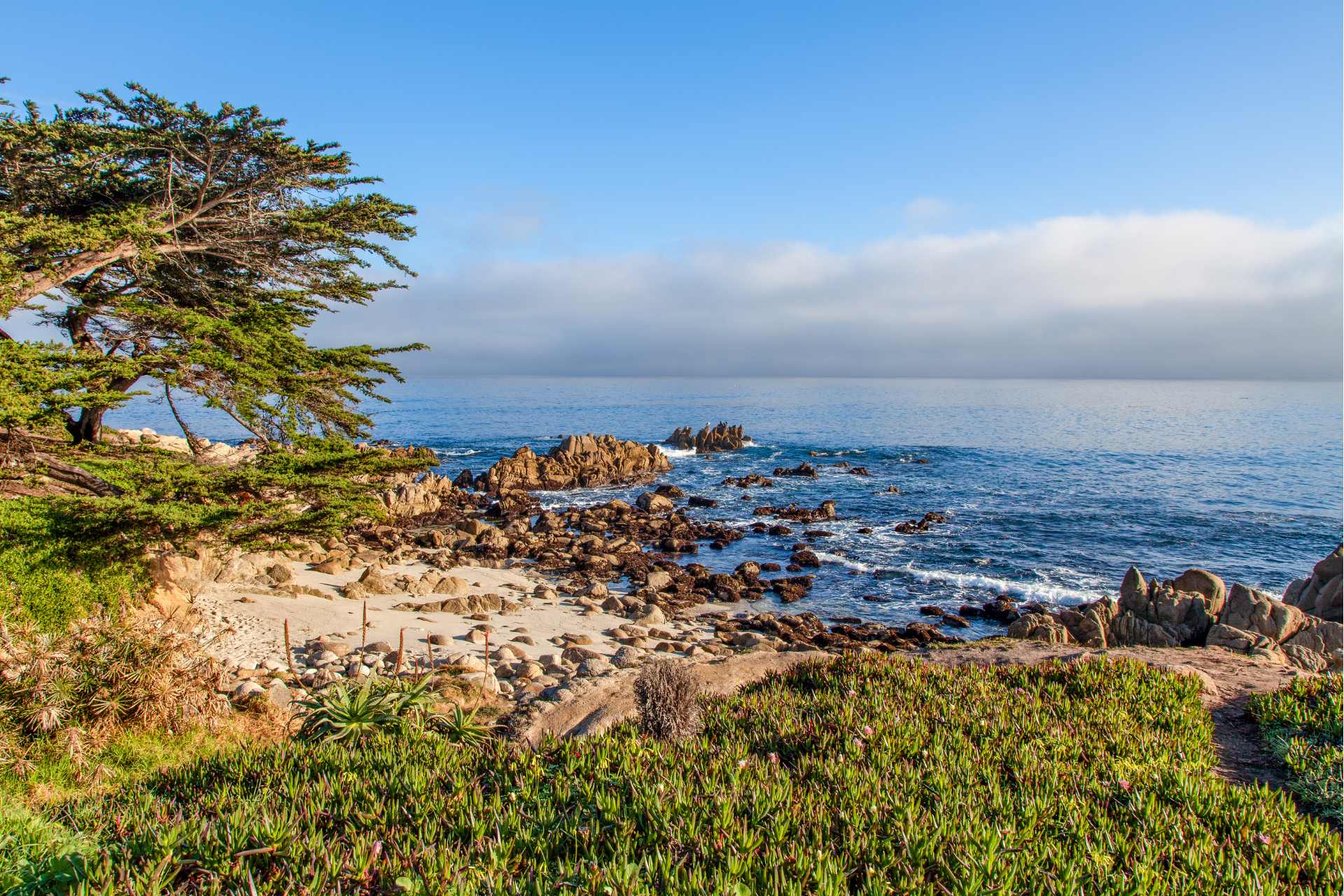 Monterey Bay Whale Watching