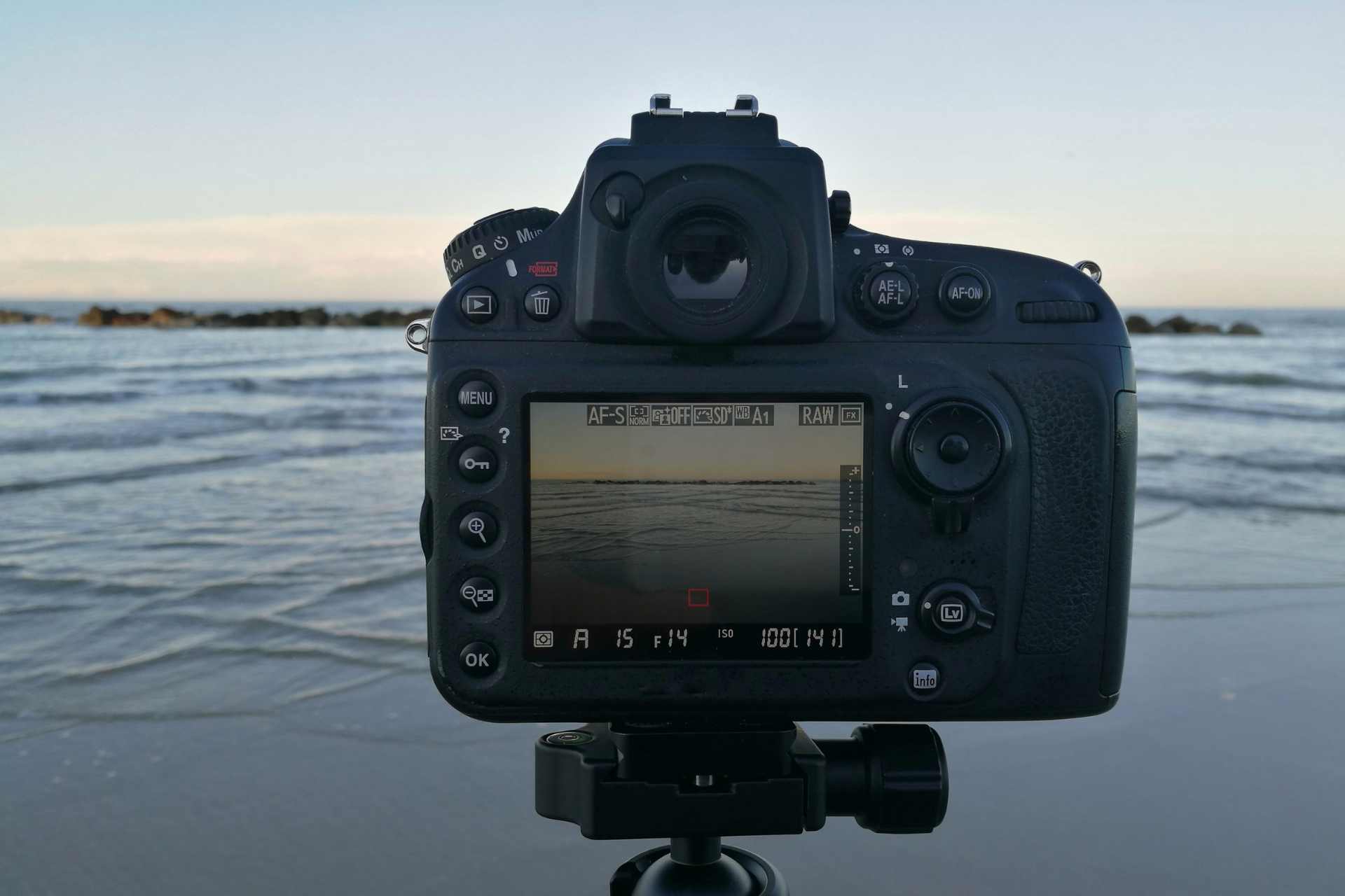 Whale Watching Photography Guide