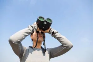 gear for whale watching