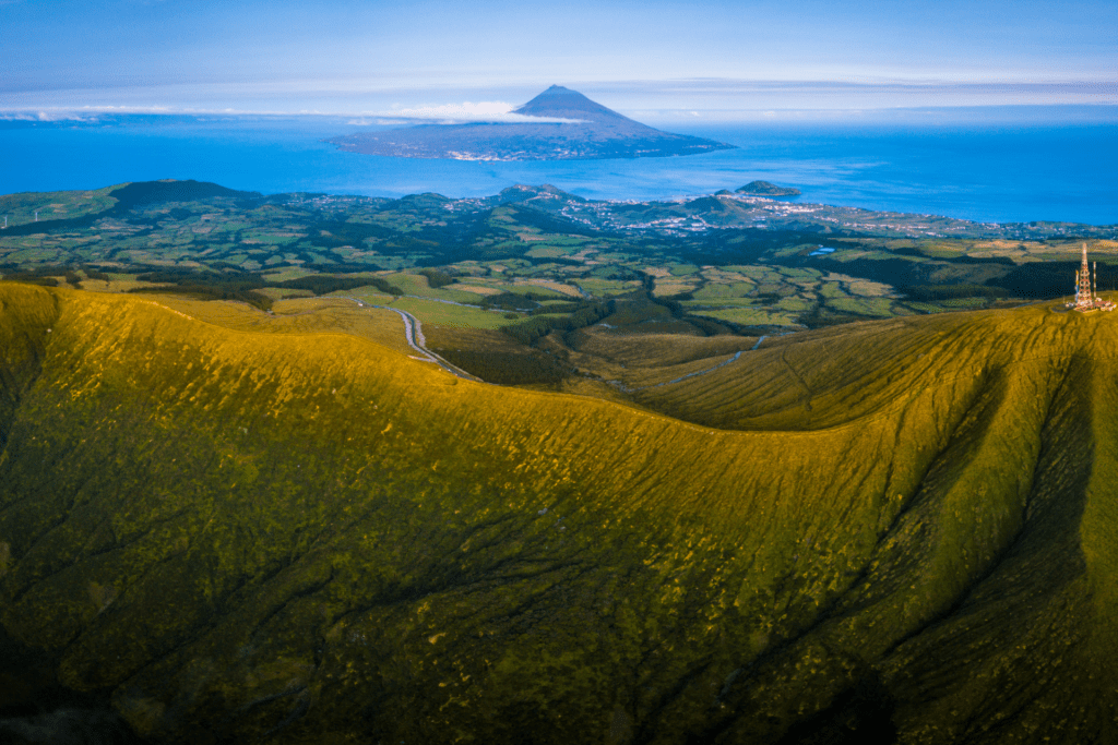 Azores whale tours