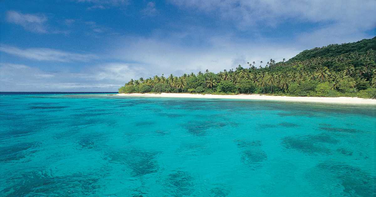 whale watching tonga